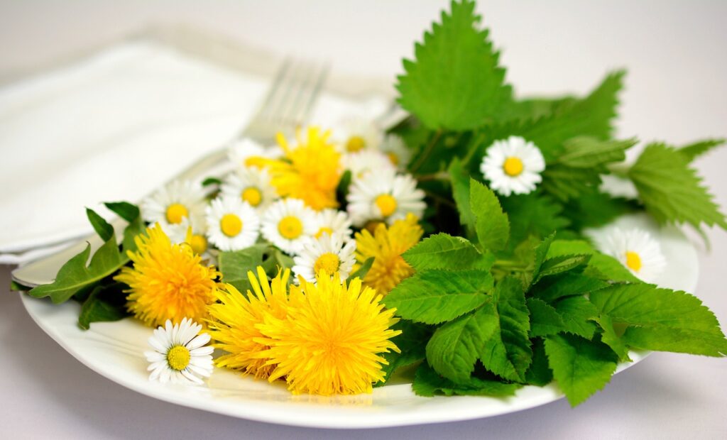 herbs, edible herbs, natural medicine-5140754.jpg